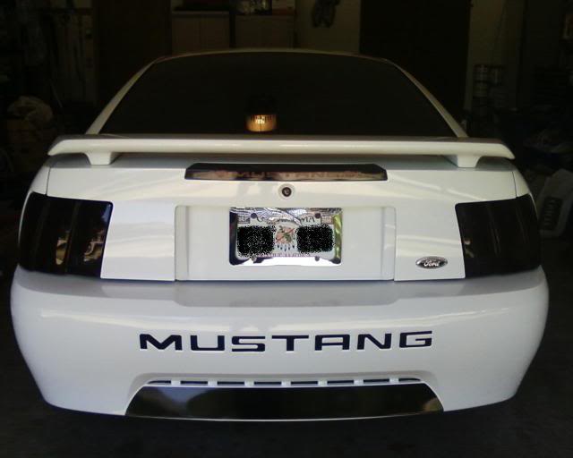 Name: Mustangrear-1.jpg
Views: 19
Size: 27.0 KB